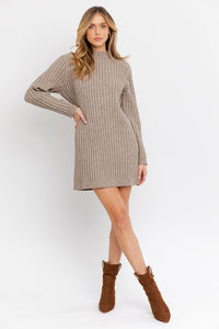 Turtle Neck Sweater Dress