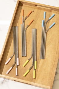 Reusable Metal Straw 20 Pcs Set & Silicone Tip